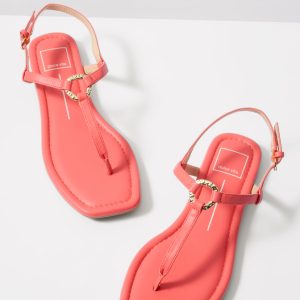Lorene T Strap